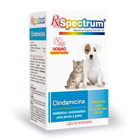 HOLLAND RX SPECTRUM CLINDAMICINA 25 MG SUSP