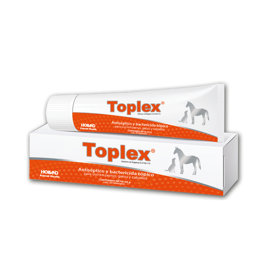 HOLLAND TOPLEX 60 G