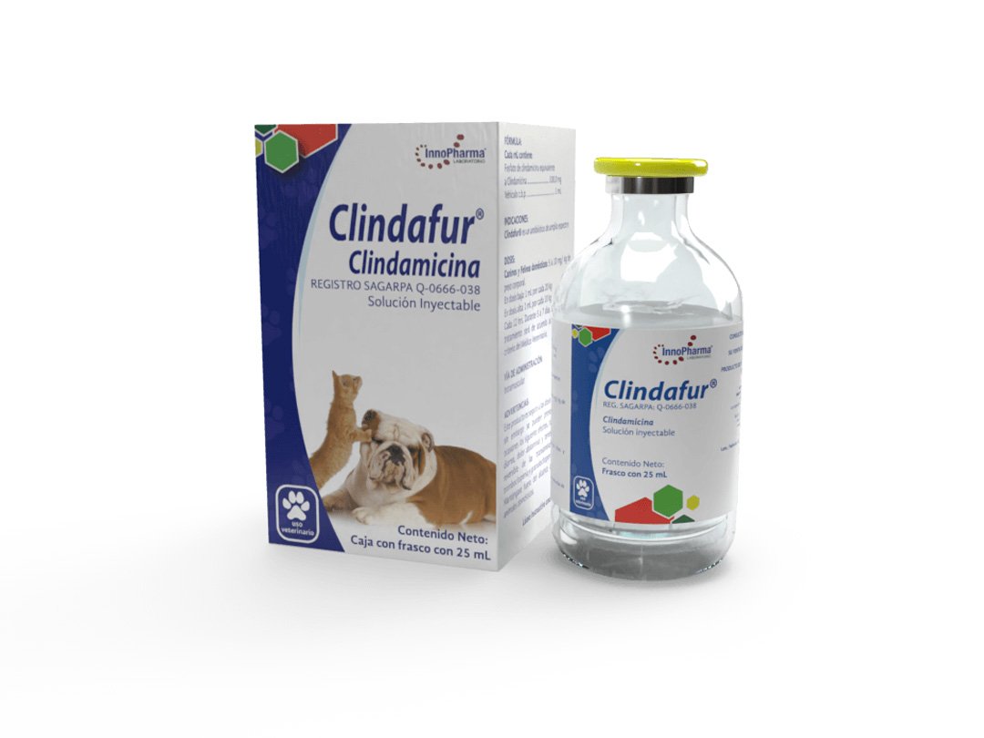 INNOPHARMA CLINDAFUR INY 25ML