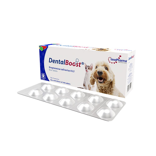 Innopharma Dental Boost 100 Tab