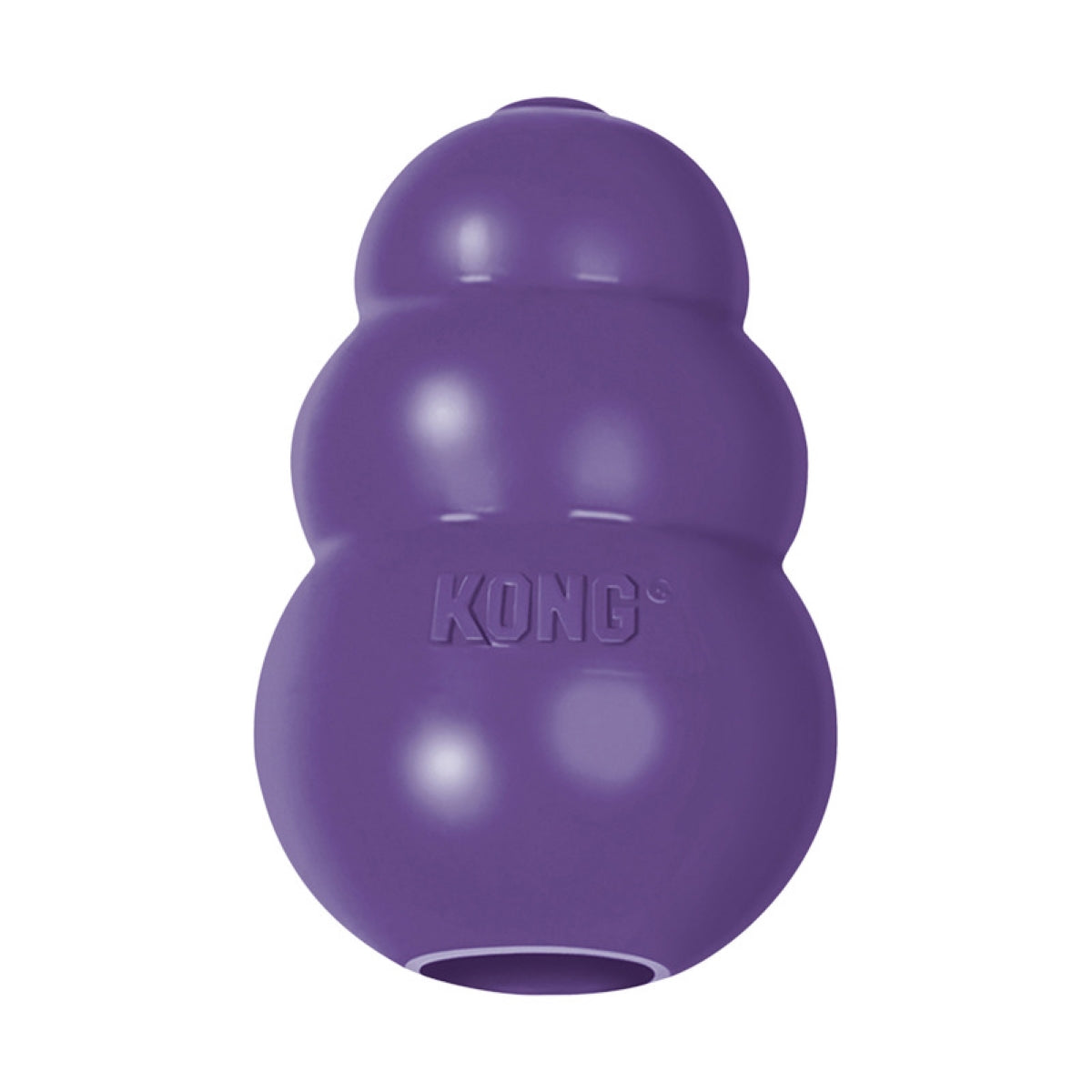 Kong Classic Adultos Mayores CHICO