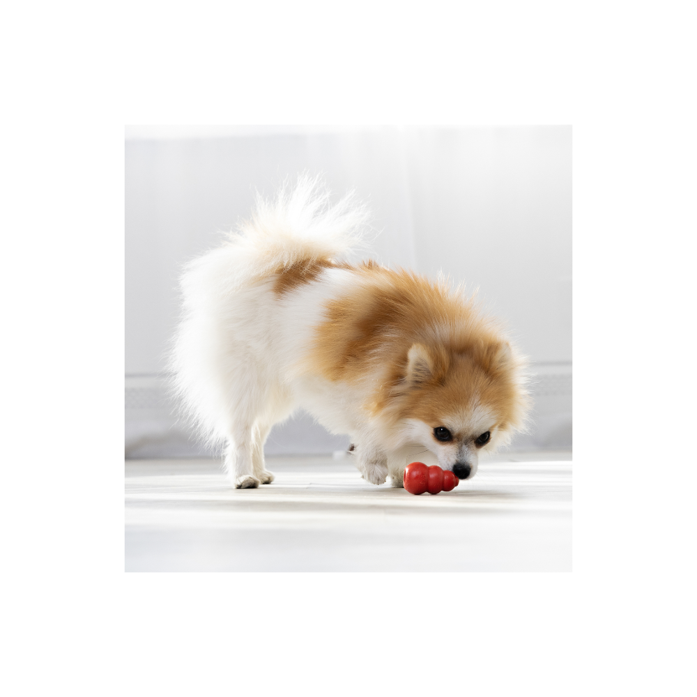 Kong Dispensador De Golosinas Para Pequeño