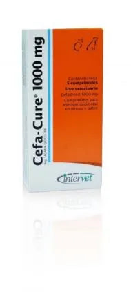 MSD CEFA - CURE 1000MG