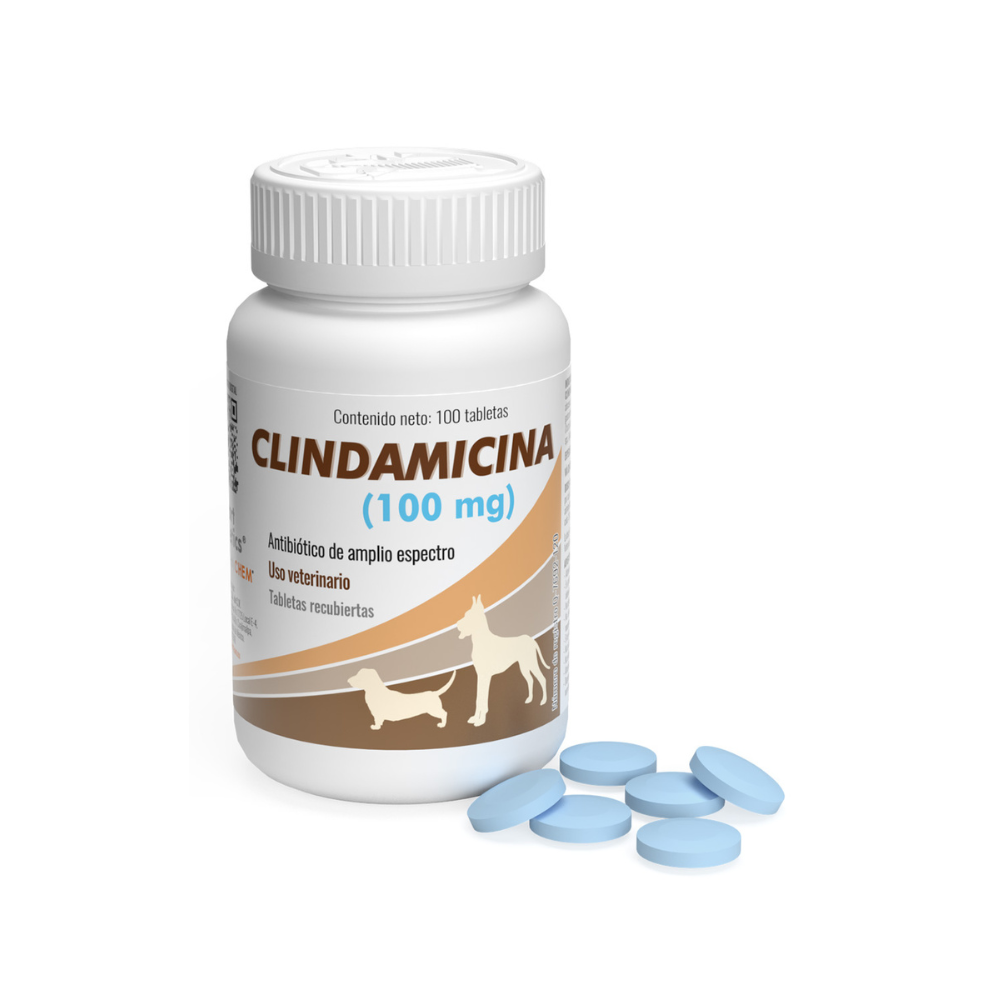 Alphachem Clindamicina 100 Mg Frasco 100 Tab