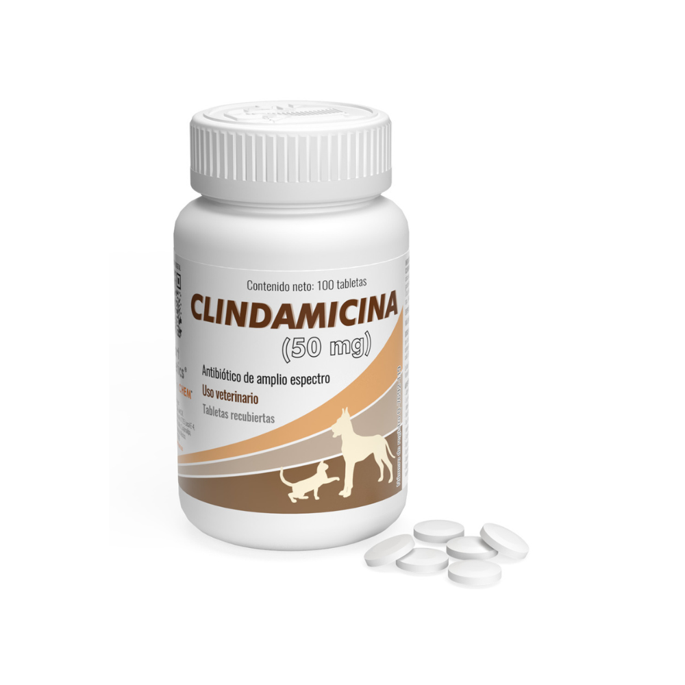 Alphachem Clindamicina 50 Mg Frasco 100 Tab