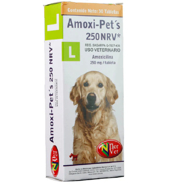 NORVET AMOXIPETS L NRV