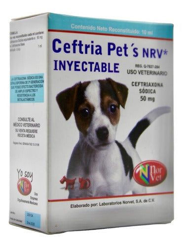 NORVET CEFTRIA PETS 50 MG