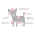 NUPEC CACHORRO RAZA MINI 3 KG