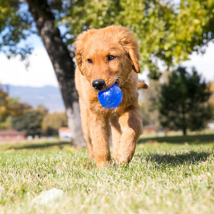 Kong Pelota Squeez Crackle Med Paq 2Pz