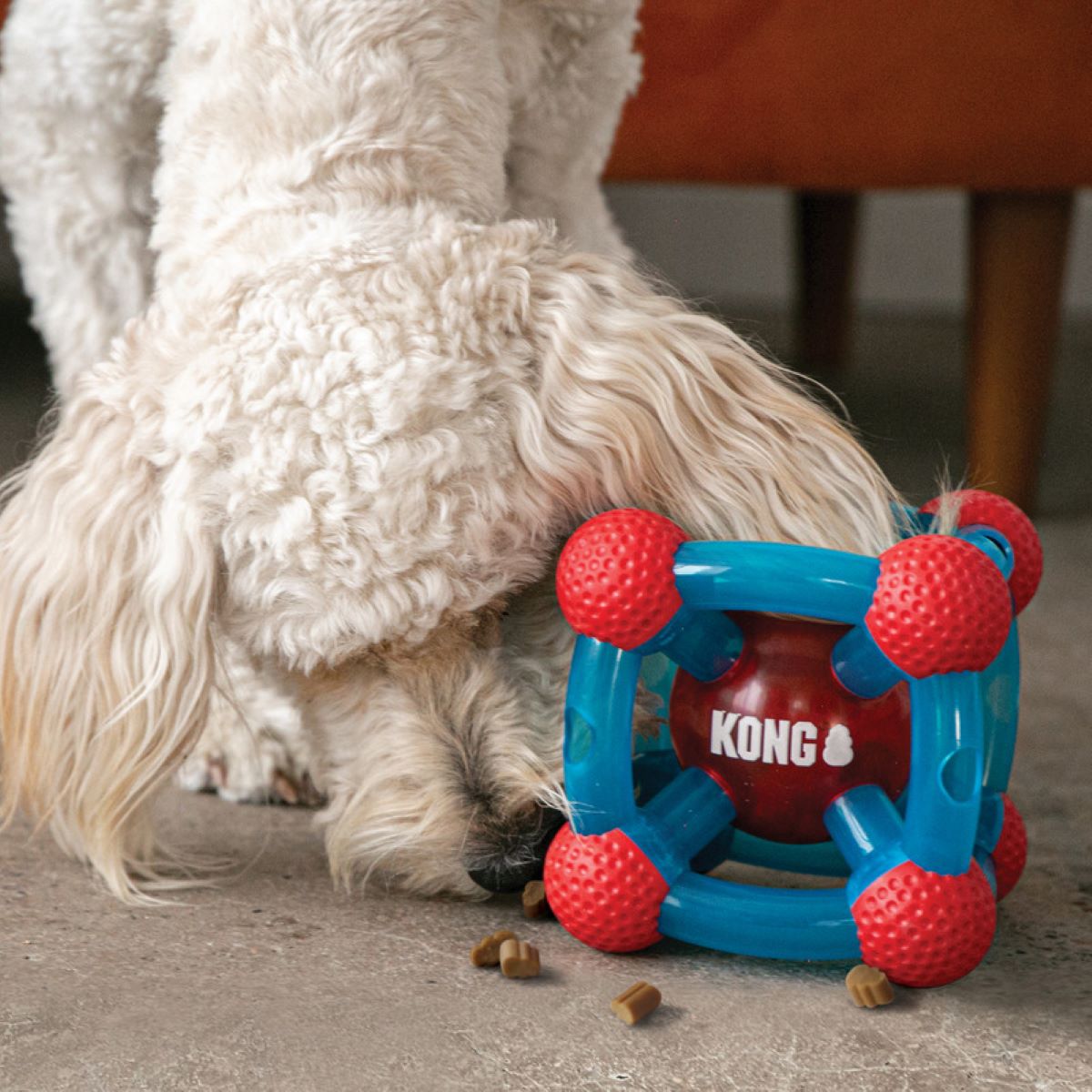 Kong Tinker Recompensas Dispensador Golosinas