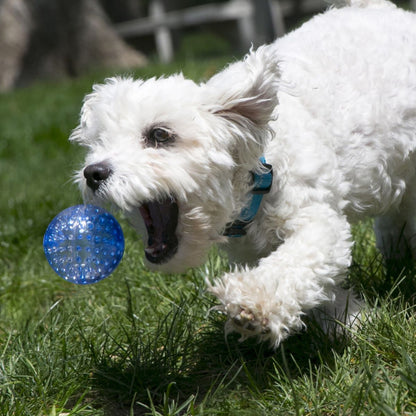 Kong Pelota Squeezz Geodz Grande 2Pzas