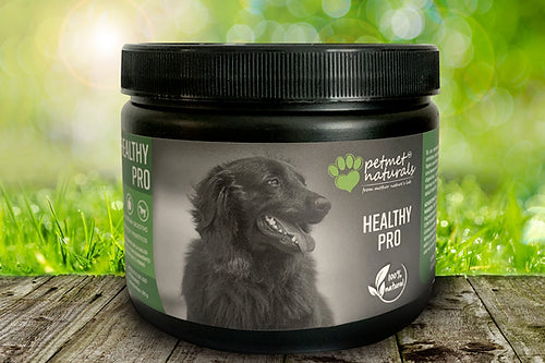 PETMET NATURALS HEALTHY PRO PROBIOTICOS Y PREBIOTICOS PERRO Y GATO 290 G