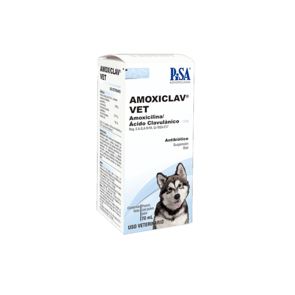 PISA AMOXICLAV VET POLVO 70 ML