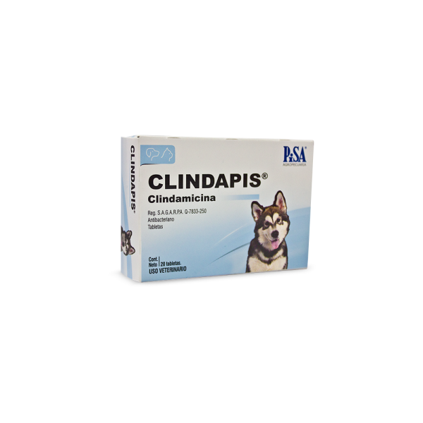 PISA CLINDAPIS 150 MG 20 TAB