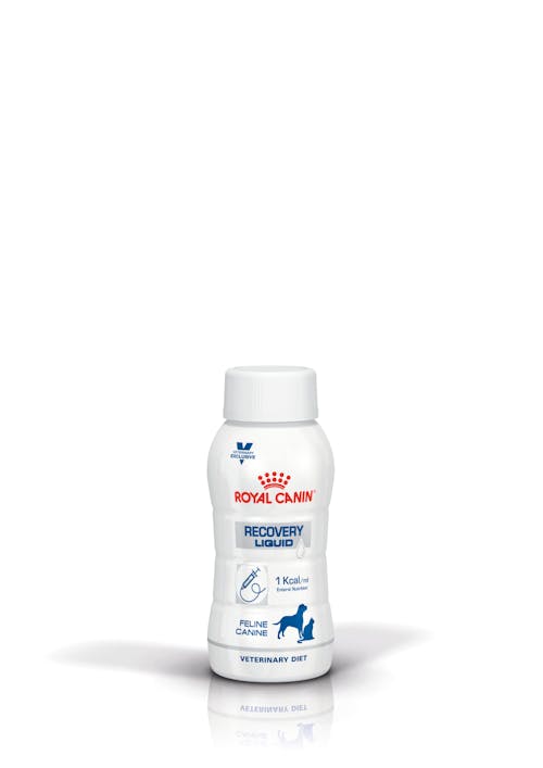 ROYAL CANIN RECOVERY CONVALESCENCE LIQUID 4X237 ML