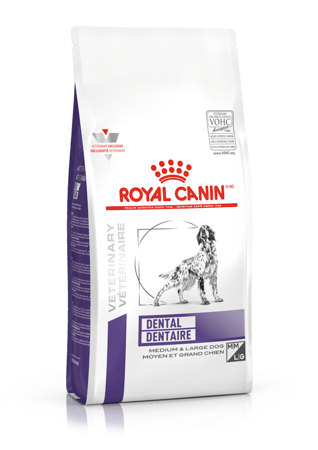 ROYAL CANIN CANINE DENTAL DRY 8KG