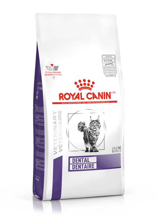 ROYAL CANIN DENTAL DRY FELINE 1.5 KG