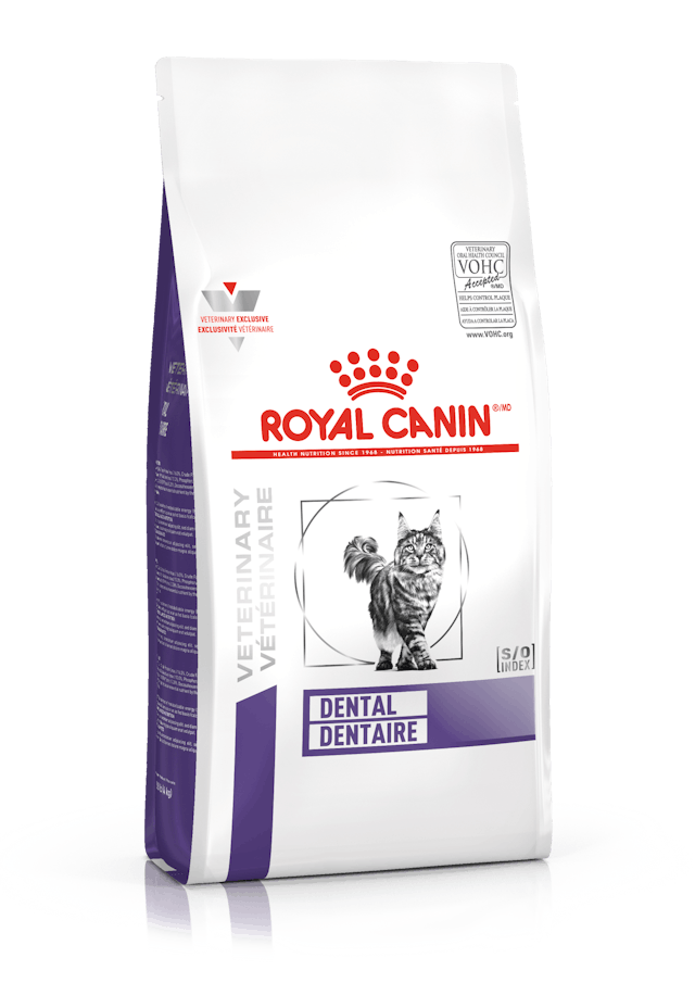 ROYAL CANIN FELINE DENTAL  DRY 8 KG