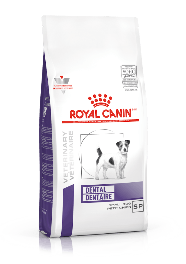 ROYAL CANIN DENTAL DRY SMALL 4 KG