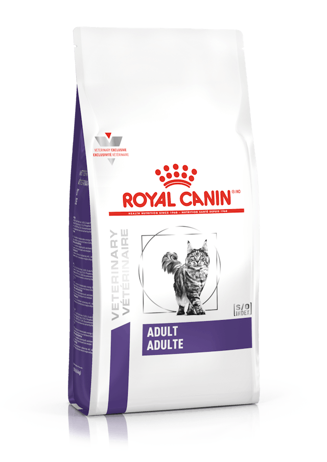 ROYAL CANIN ADULT FELINE 4.5 KG