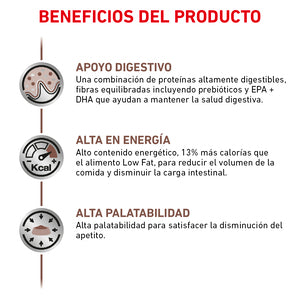 ROYAL CANIN GASTRO-INTESTINAL HIGH ENERGY 10 KG
