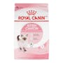 ROYAL CANIN Kitten 3.18KG