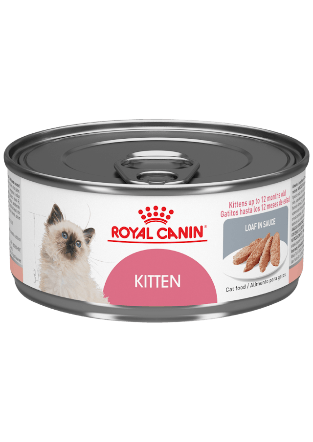 ROYAL CANIN KITTEN LATA 145 GR