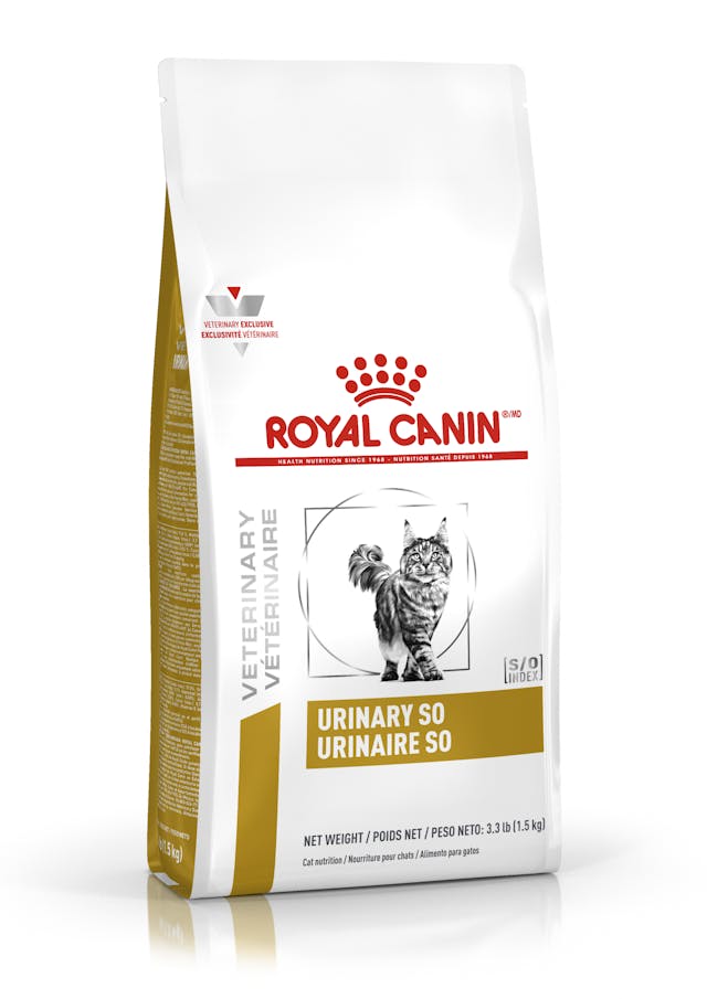 ROYAL CANIN URINARY SO FELINE 8 KG