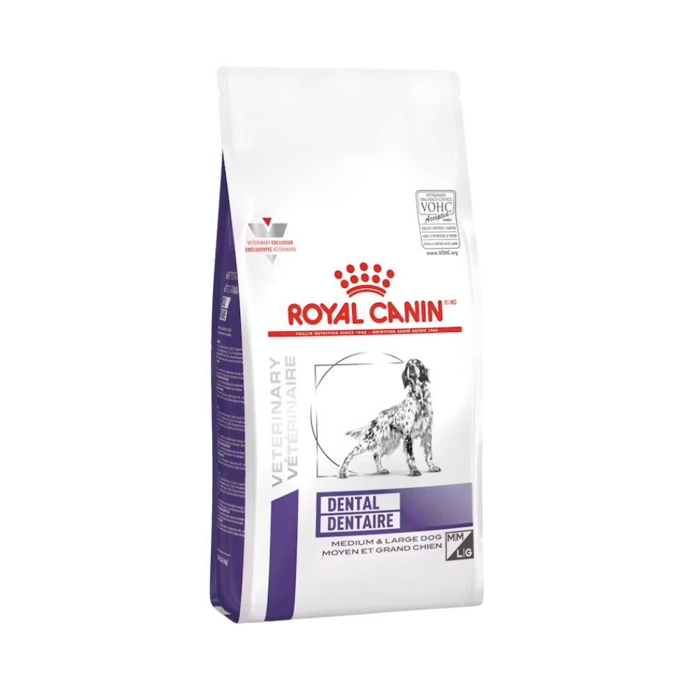 ROYAL CANIN FELINE DENTAL DRY 3.5 KG