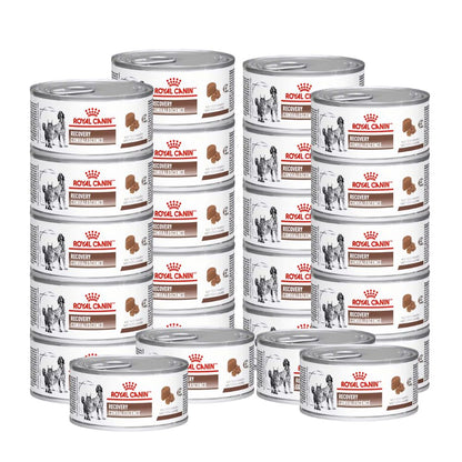 ROYAL CANIN RECOVERY LATA 24 PZ