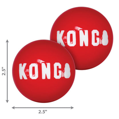 Kong Pelota Firma Md 2Pz