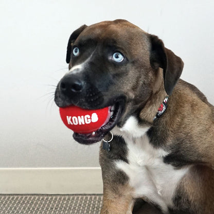 Kong Pelota Deportive Firma Tamaño Mediano 3 Pzas