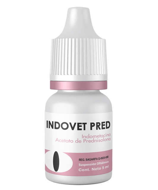 SANTGAR INDOVET PRED (ACETATO DE PREDNISOLONA) 5ML