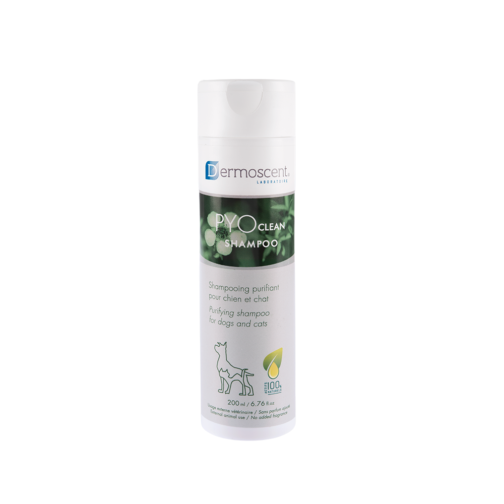 Dermoscent Pyo Clean Shampoo 200 Ml