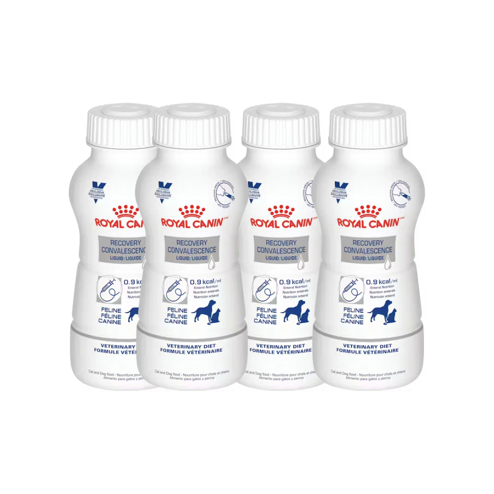 Royal Canin Recovery Liquid 4 Pz 234 Ml