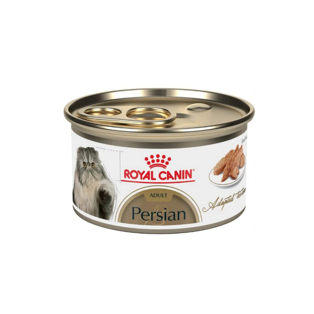 Royal Canin Persian Lata 85G
