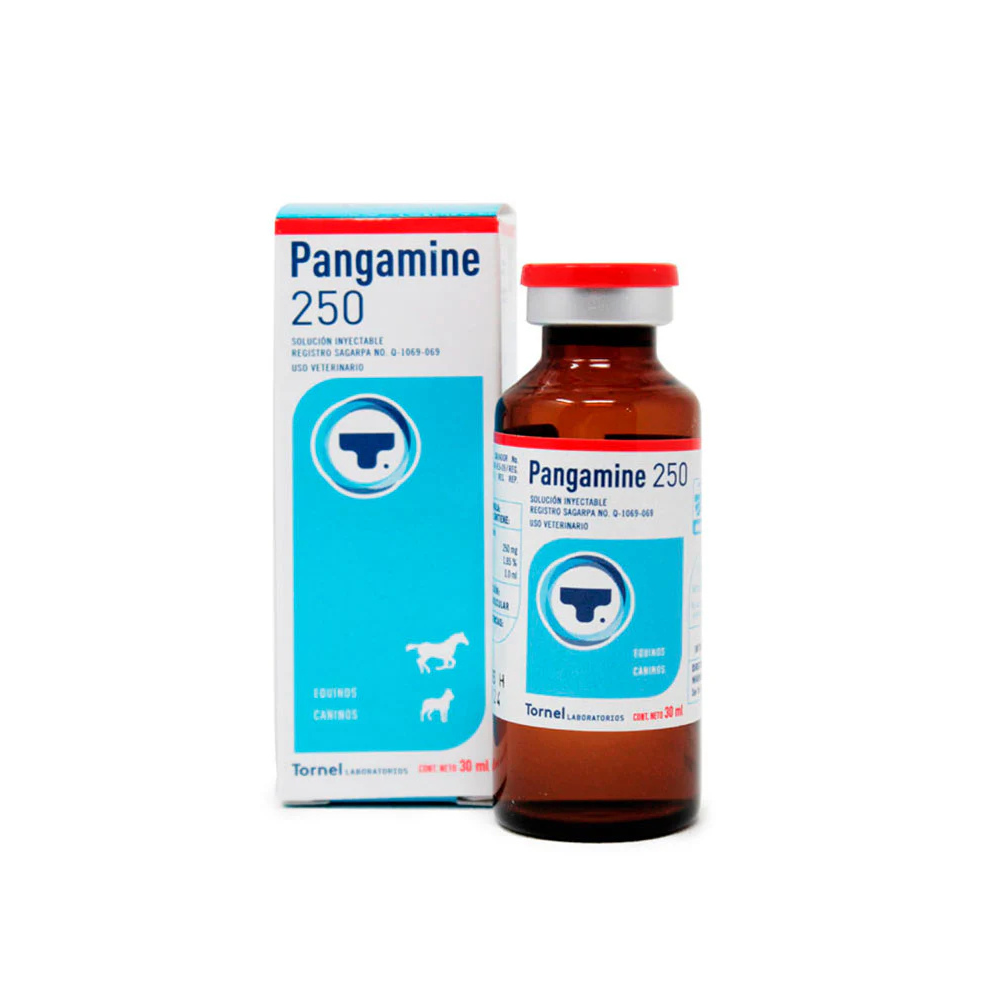 Tornel Pangamine 250 Vit B15 30 Ml