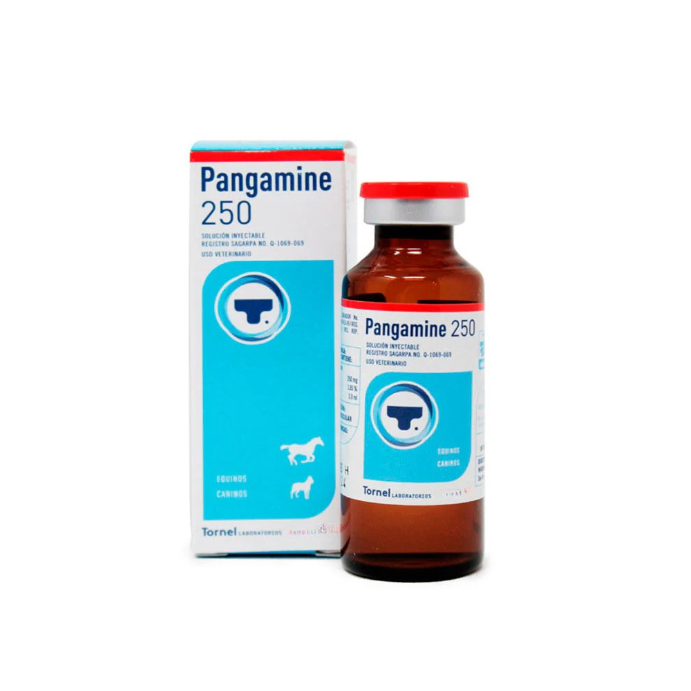 Tornel Pangamine 250 Vit B15 10 Ml
