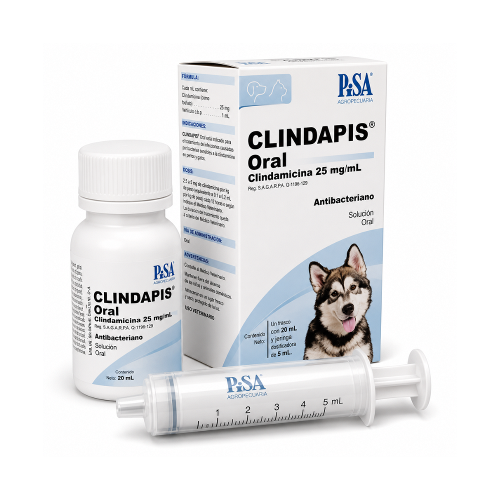 Pisa Clindapis Oral 25Mg 20Ml