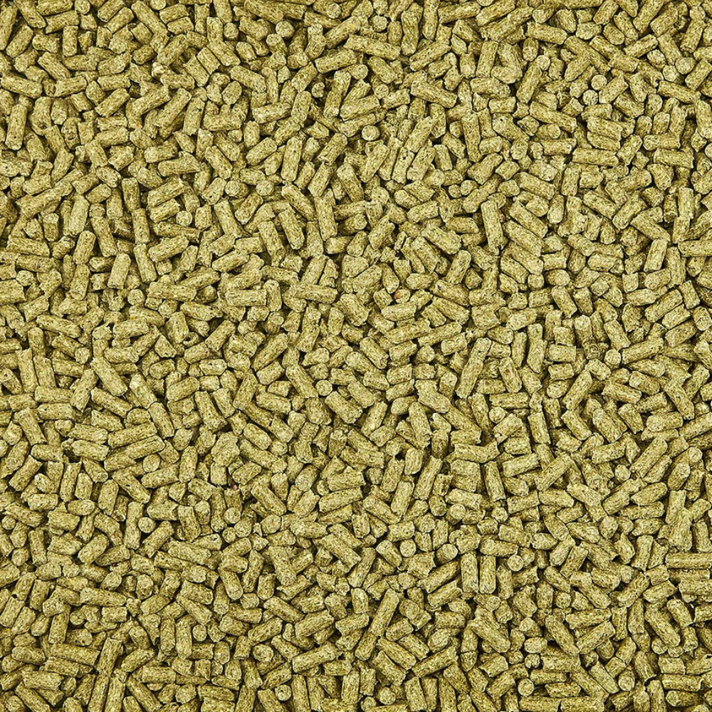 Kaytee Alimento Supreme Cuyo 2.26 Kg