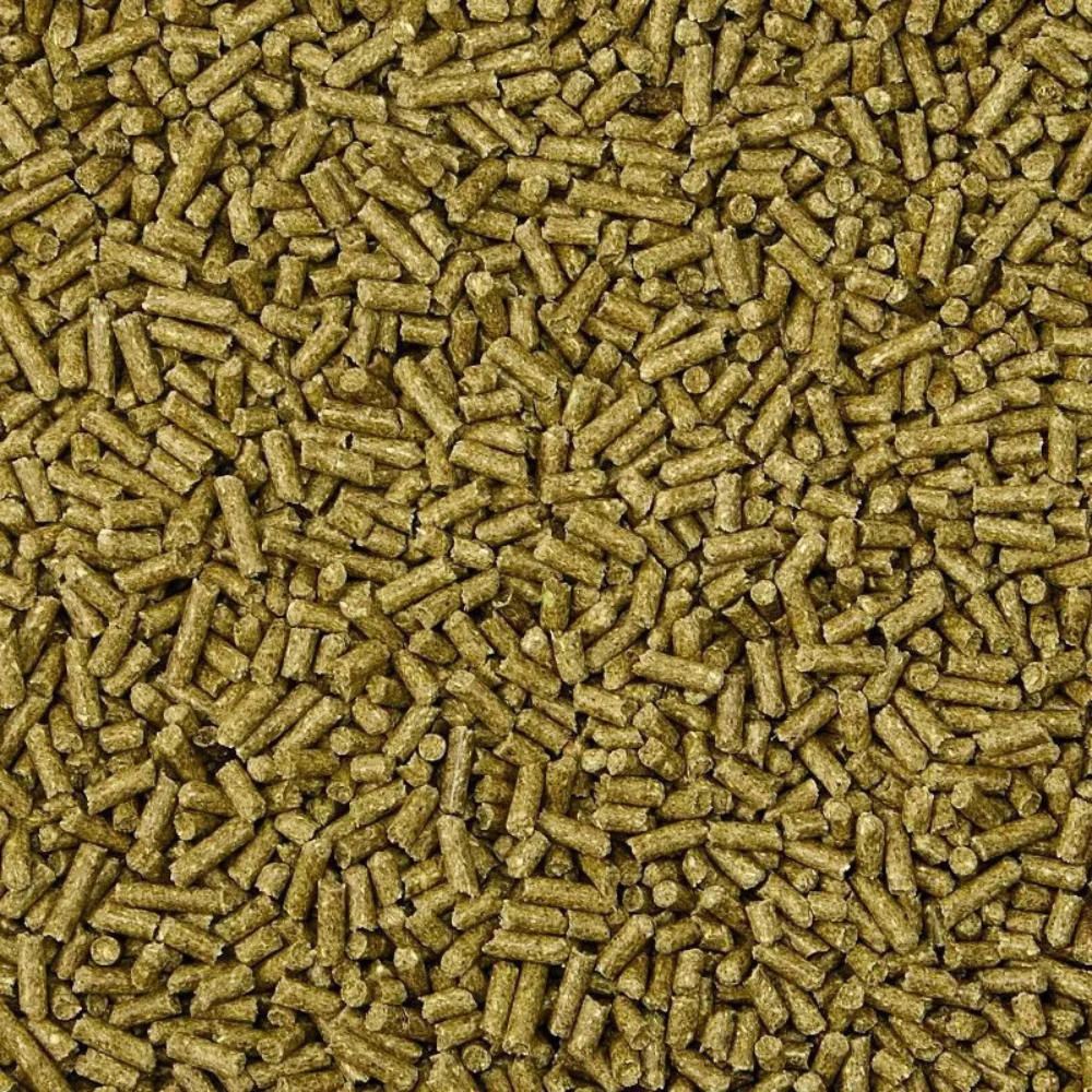 Kaytee Forti Diet Timothy Select Natural Comida Para Conejo 1.59 Kg