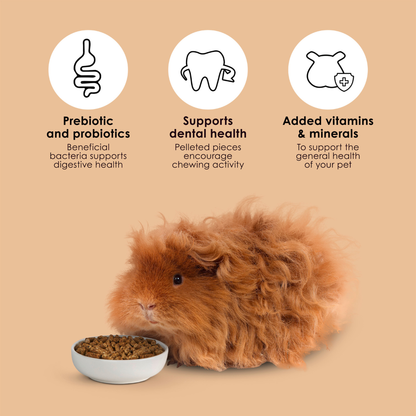 Kaytee Timothy Complete Alimento Para Cuyo 2.27 Kg